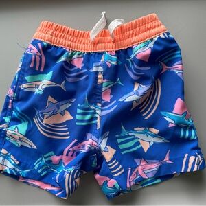 Chubbies Bathing Suit